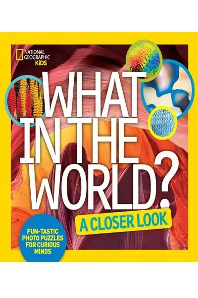 "What in the World" (Used) by Julie Vosburgh Agnone