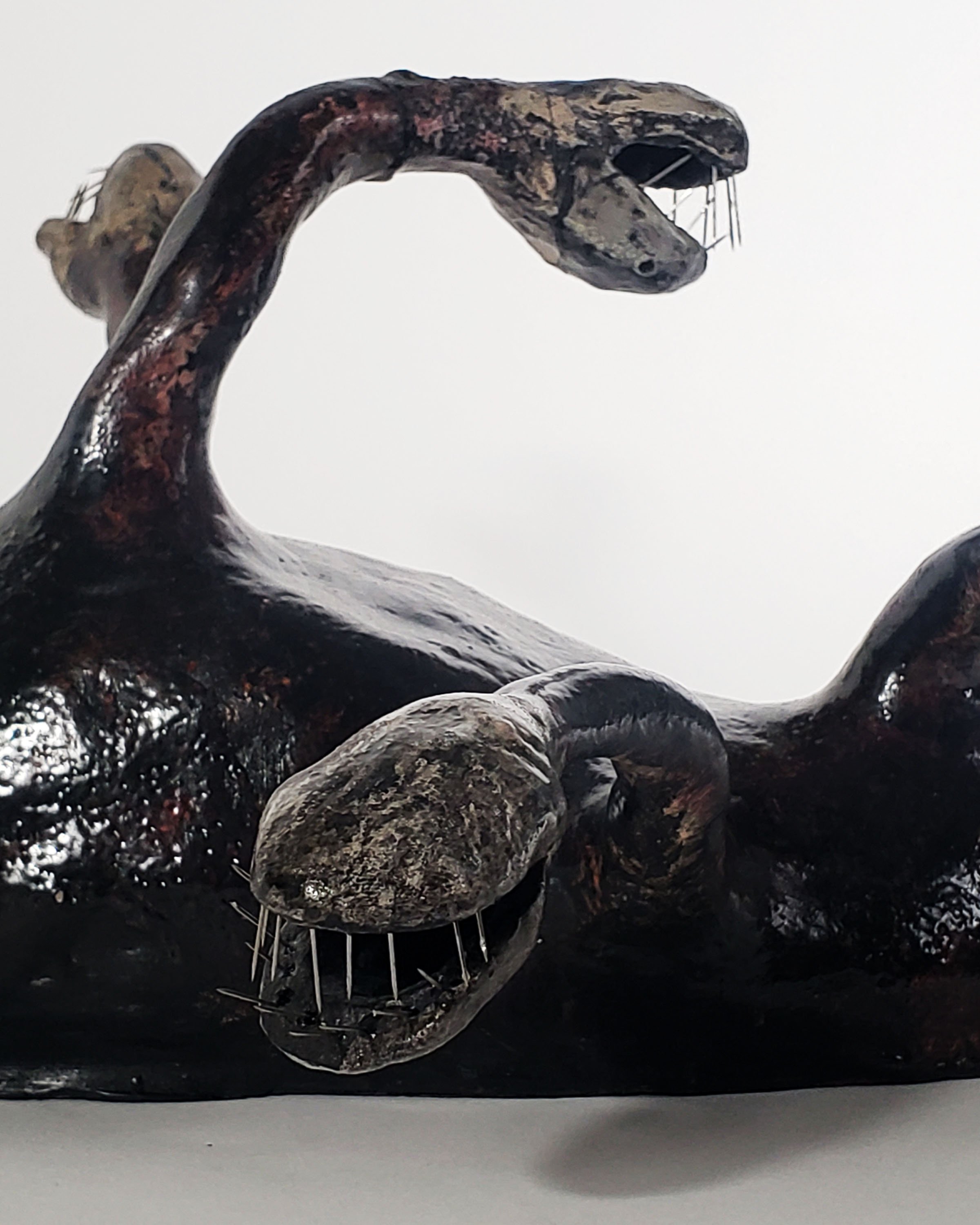 Medusarus_Detail1.jpg