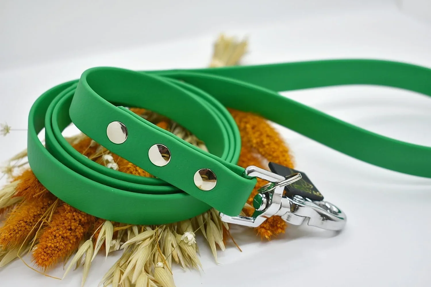 435fe5f4-6571-48fd-967e-09589d79d8c1 (1).webp