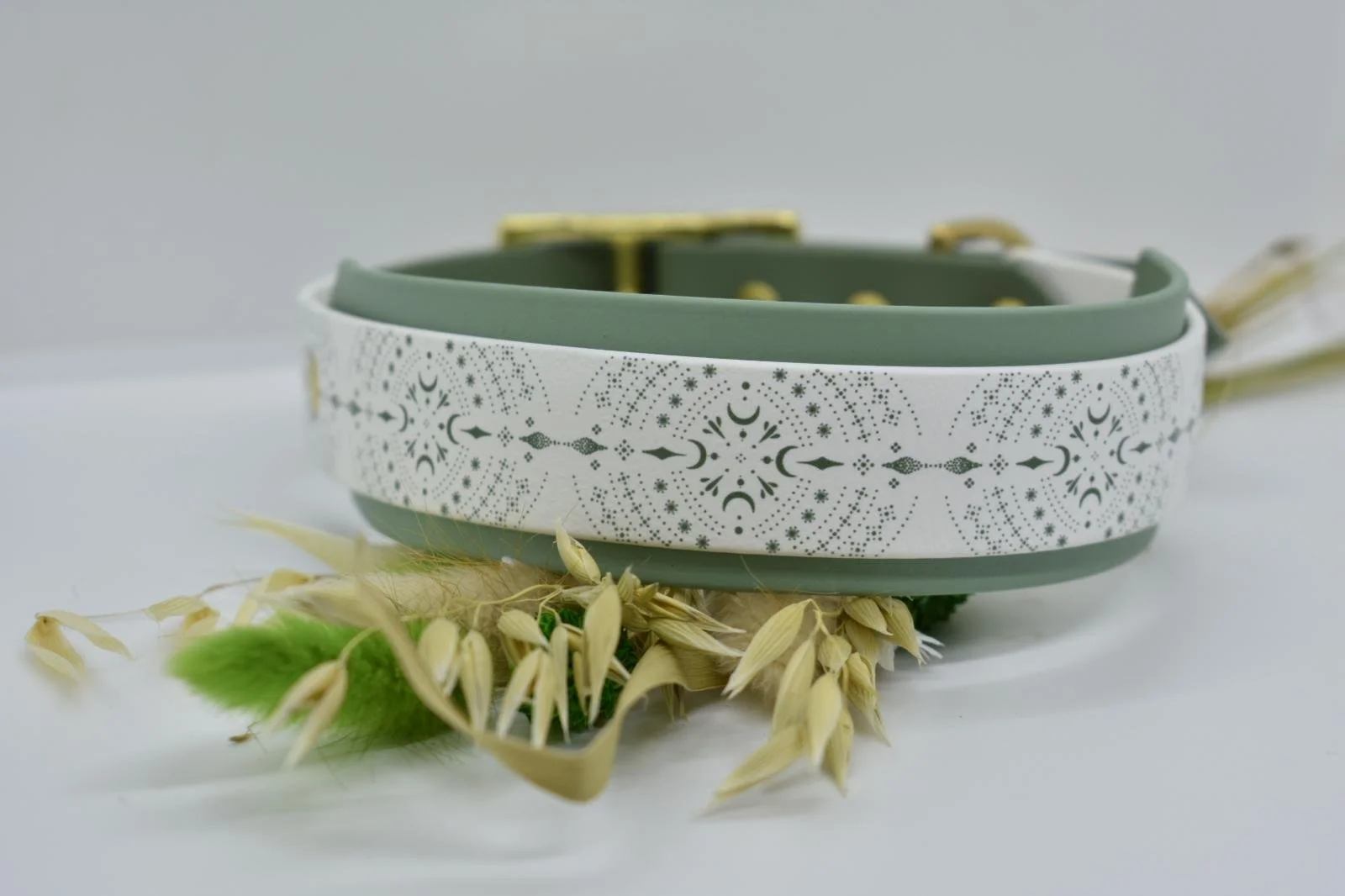 WhatsApp Image 2026-03-03 at 19.59.22 (1).jpeg