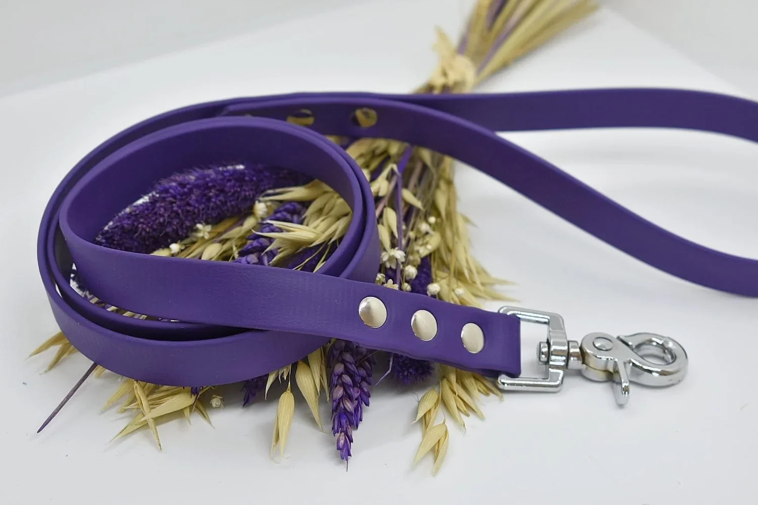 14731492-126e-4510-ac28-f3cde24f6142 (1).webp