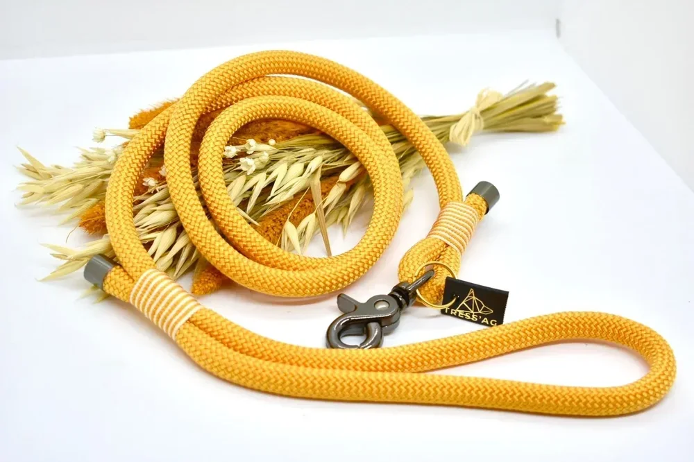 WhatsApp+Image+2026-03-16+at+19.48.32 (1).webp