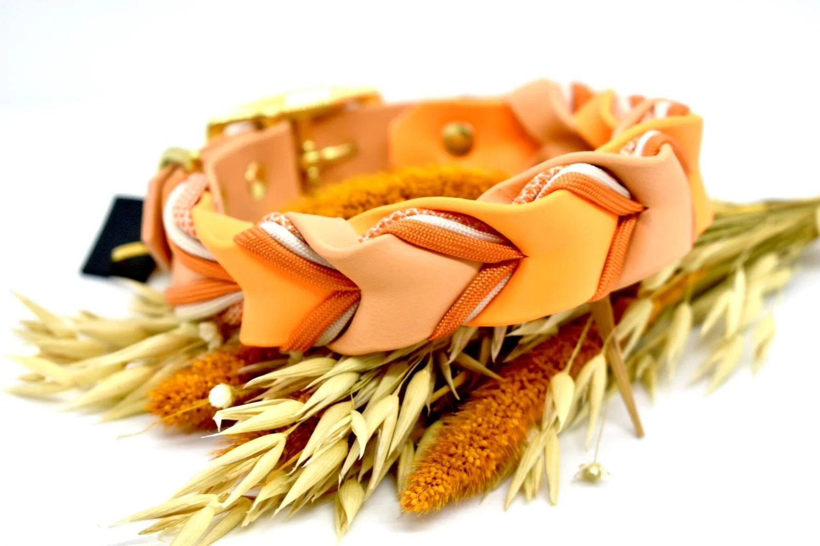 WhatsApp Image 2026-03-16 at 19.49.42.jpeg