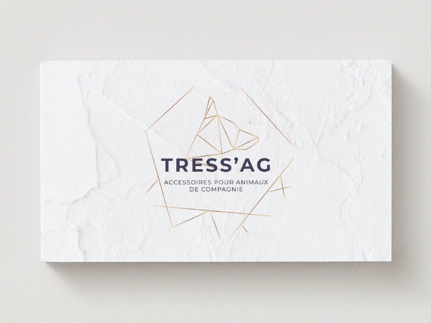 Capture d'écran 2026-03-18 100724.png