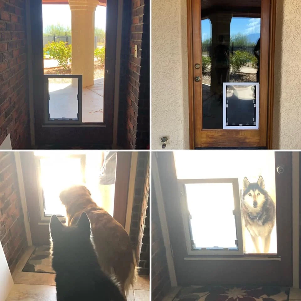 Tucson Doggie Doors
