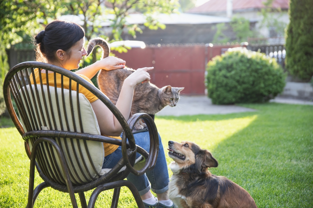 Why Early Spring Is the Ideal Time to Start Building Your Dog Yard