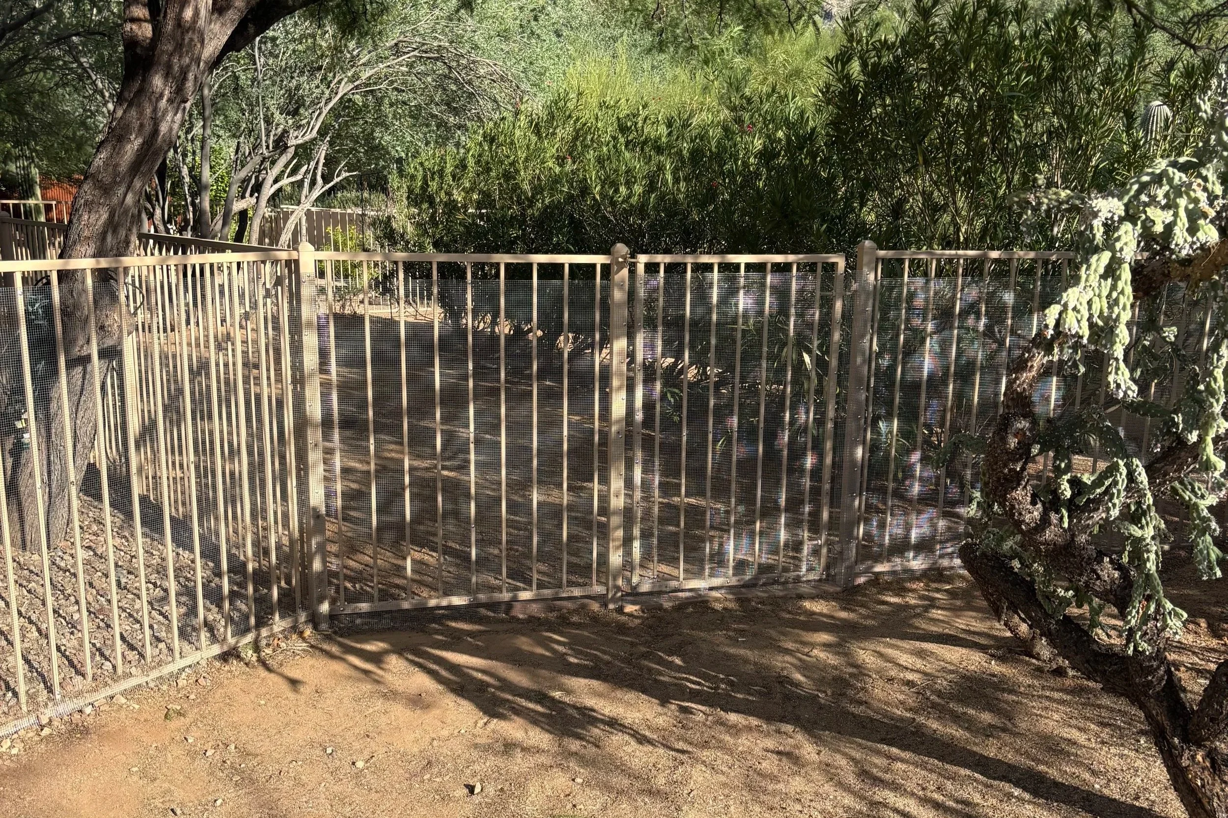Dog Yard Fencing Options: What Works Best for Arizona Homes