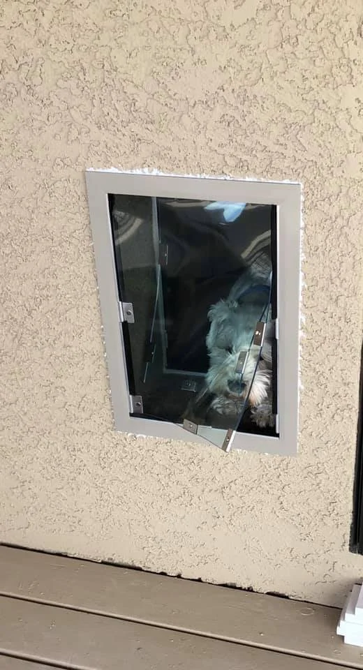 Tucson Doggie Doors