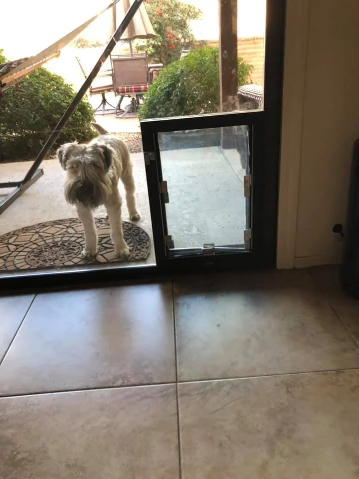 Tucson Doggie Doors