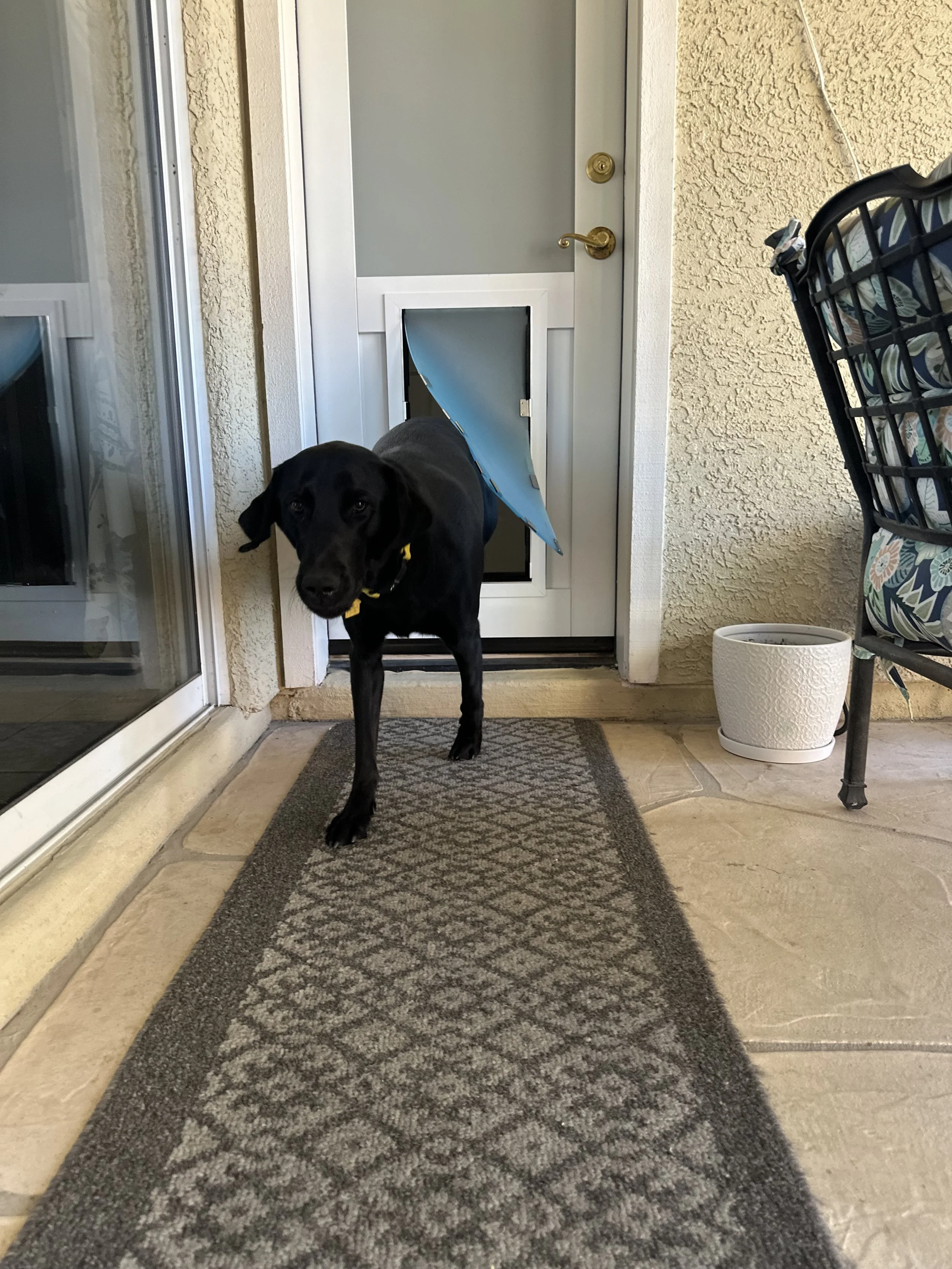 IMG_9076.jpeg
