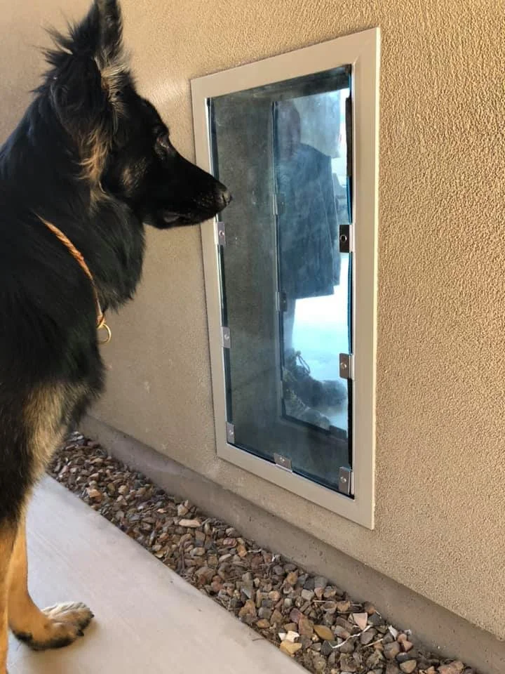 Tucson Doggie Doors