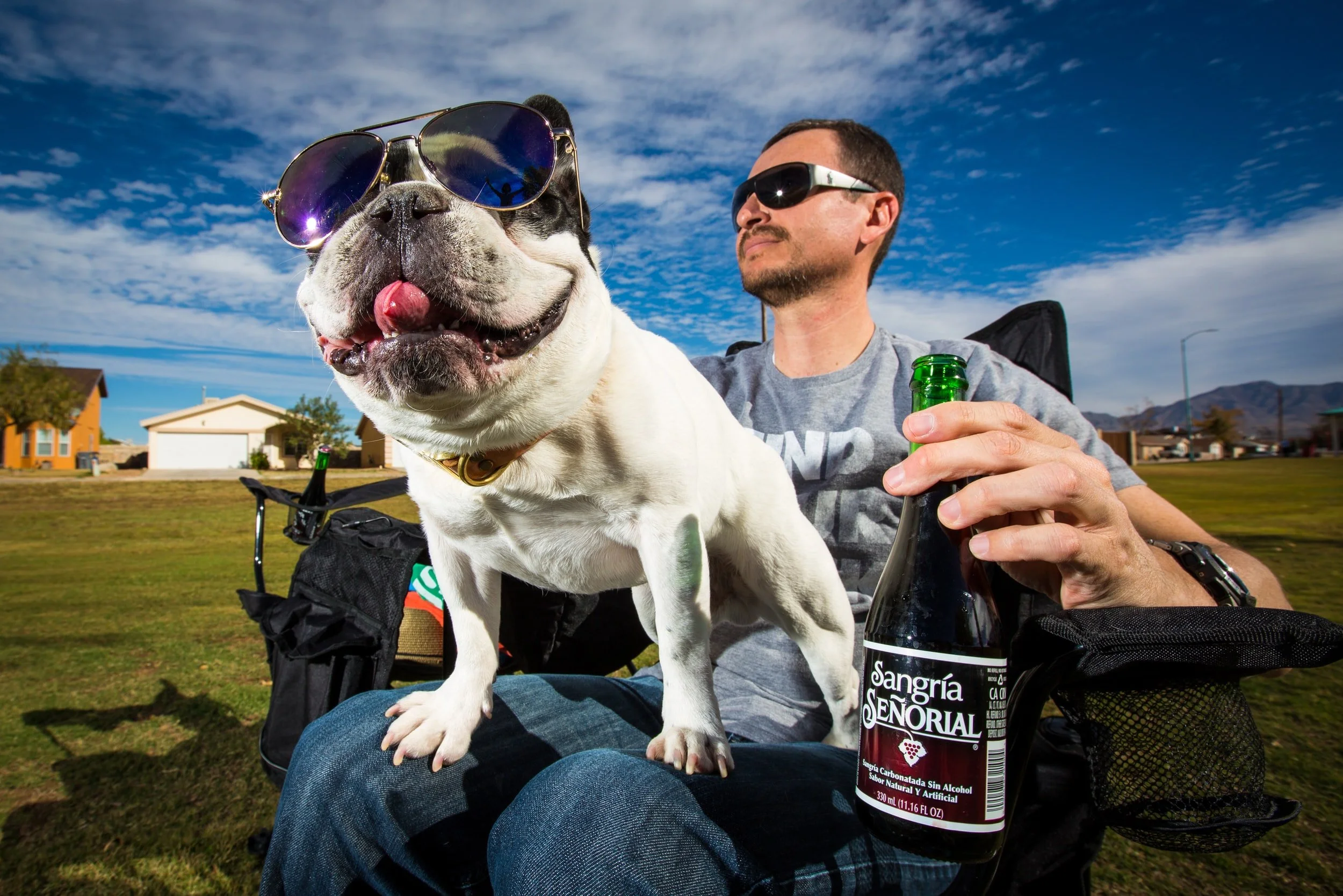 Barks and W(h)ine - January