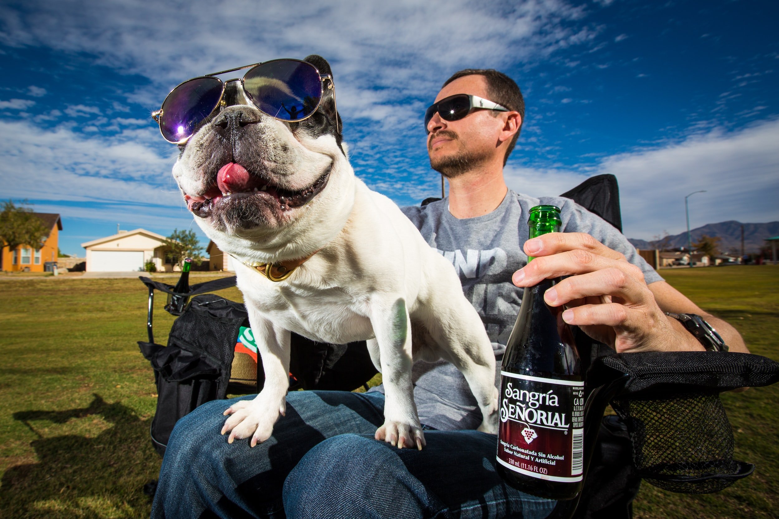 Drink with Your Dog - Introduction to Brew Dog Class