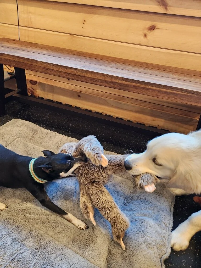 Setting Training Goals