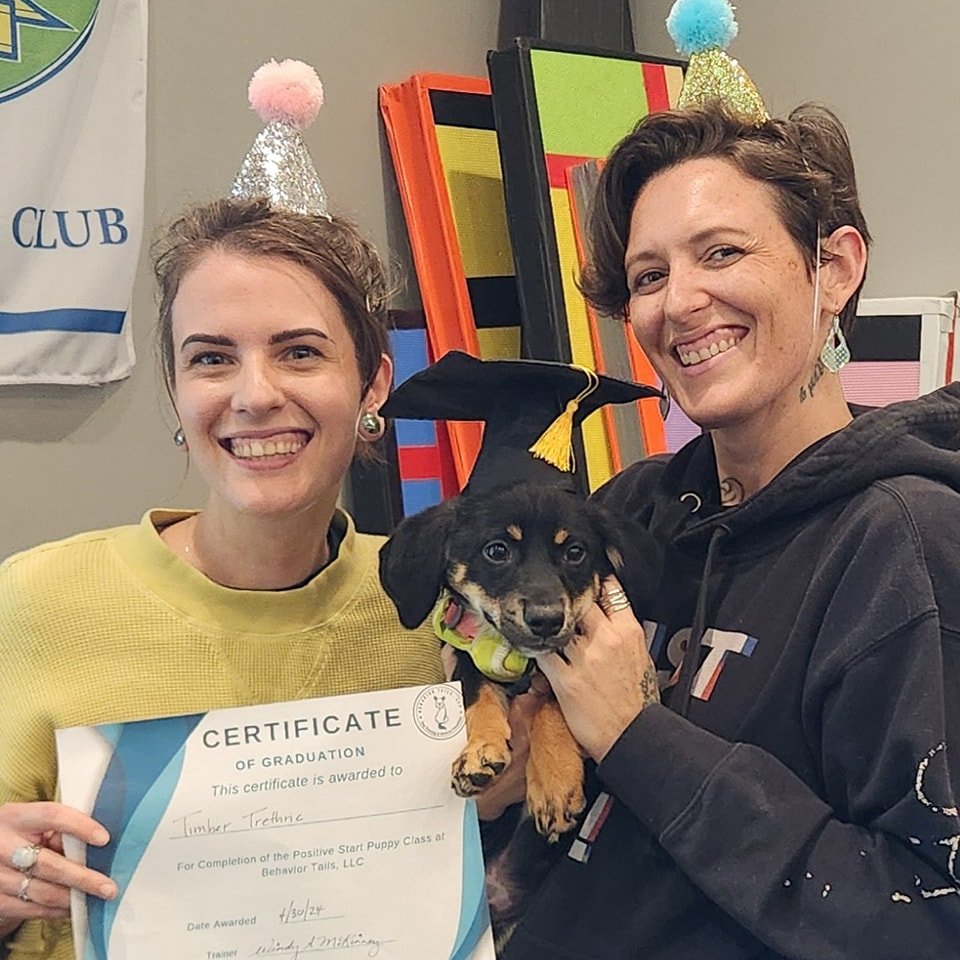 🎊 Congratulations to little Timber and his family as they graduate from our Positive Start Puppy Class! 🥳

🌟 We can't wait to see what you guys do next! 🐾