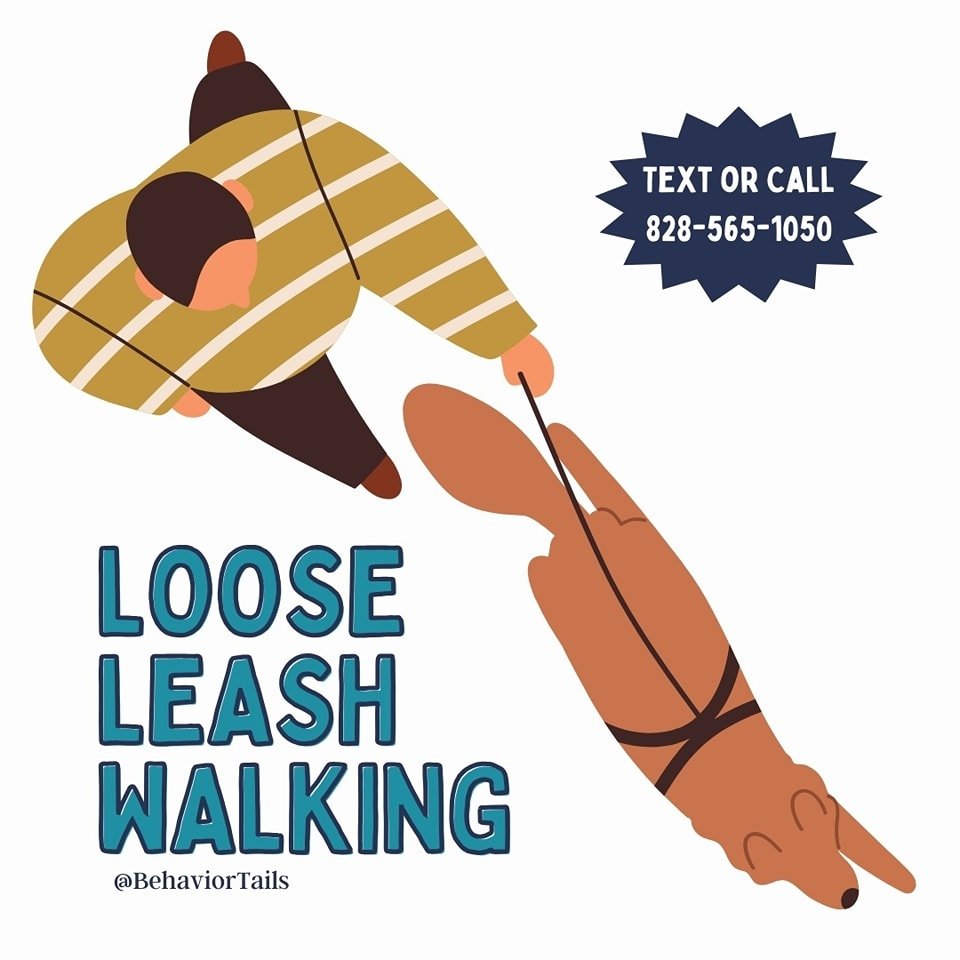 📣 Register now!! Starting this Monday, our 4 week Loose Leash Walking course, taught by trainer Heidi. This class will help you and your dog walk with a relaxed leash and teach you what to do when your dog starts pulling so that you can enjoy your d