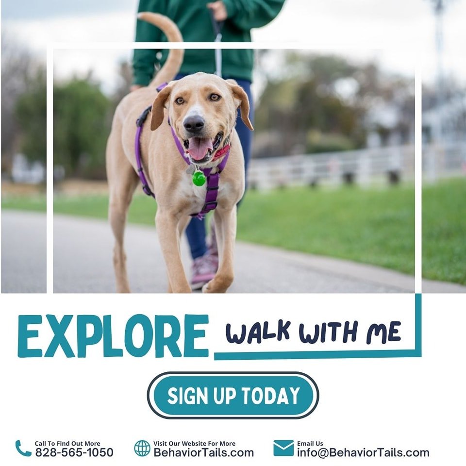 Our Loose Leash Walking class starts next Monday, May 6. This class is all about helping you and your dog keep that leash nice and loose while you explore the world together, making your walks more enjoyable at both ends of that loose leash! 

Reach 