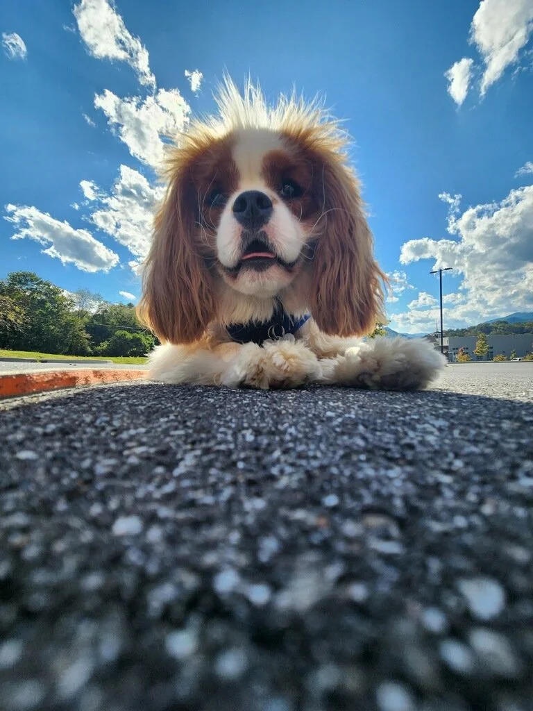 November 2023 Newsletter