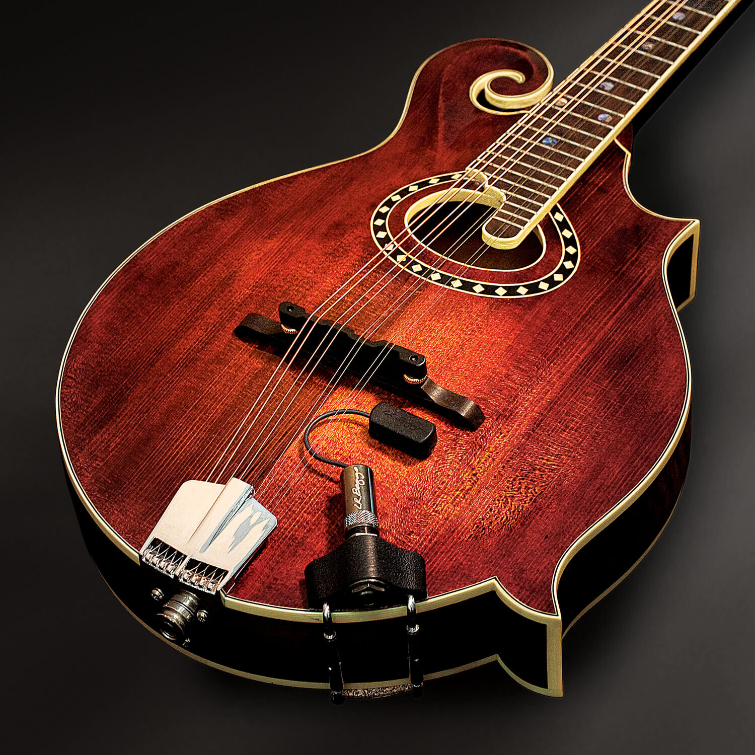 Radius Mandolin Pickup