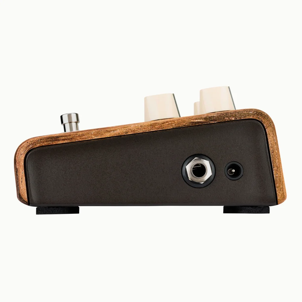 Align Series Session Acoustic Pedal — LR Baggs