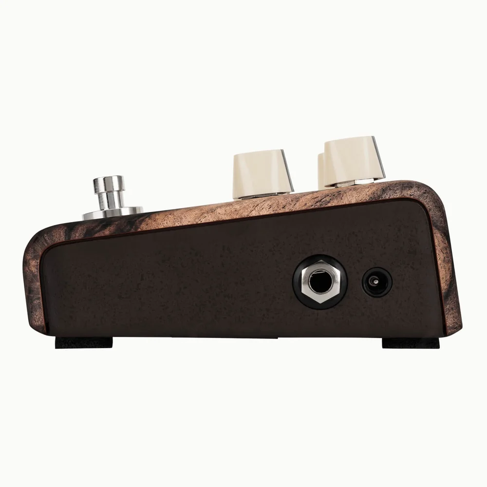 Align Series Chorus Acoustic Pedal — LR Baggs