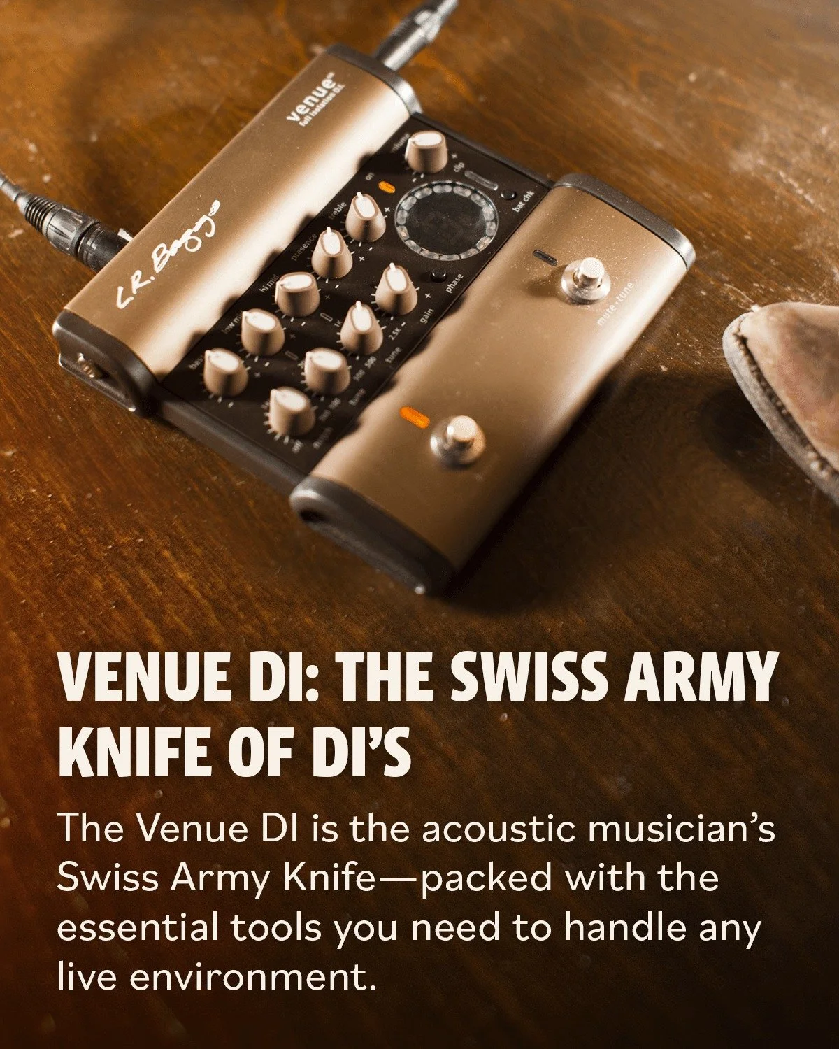 What's special about the Venue DI?