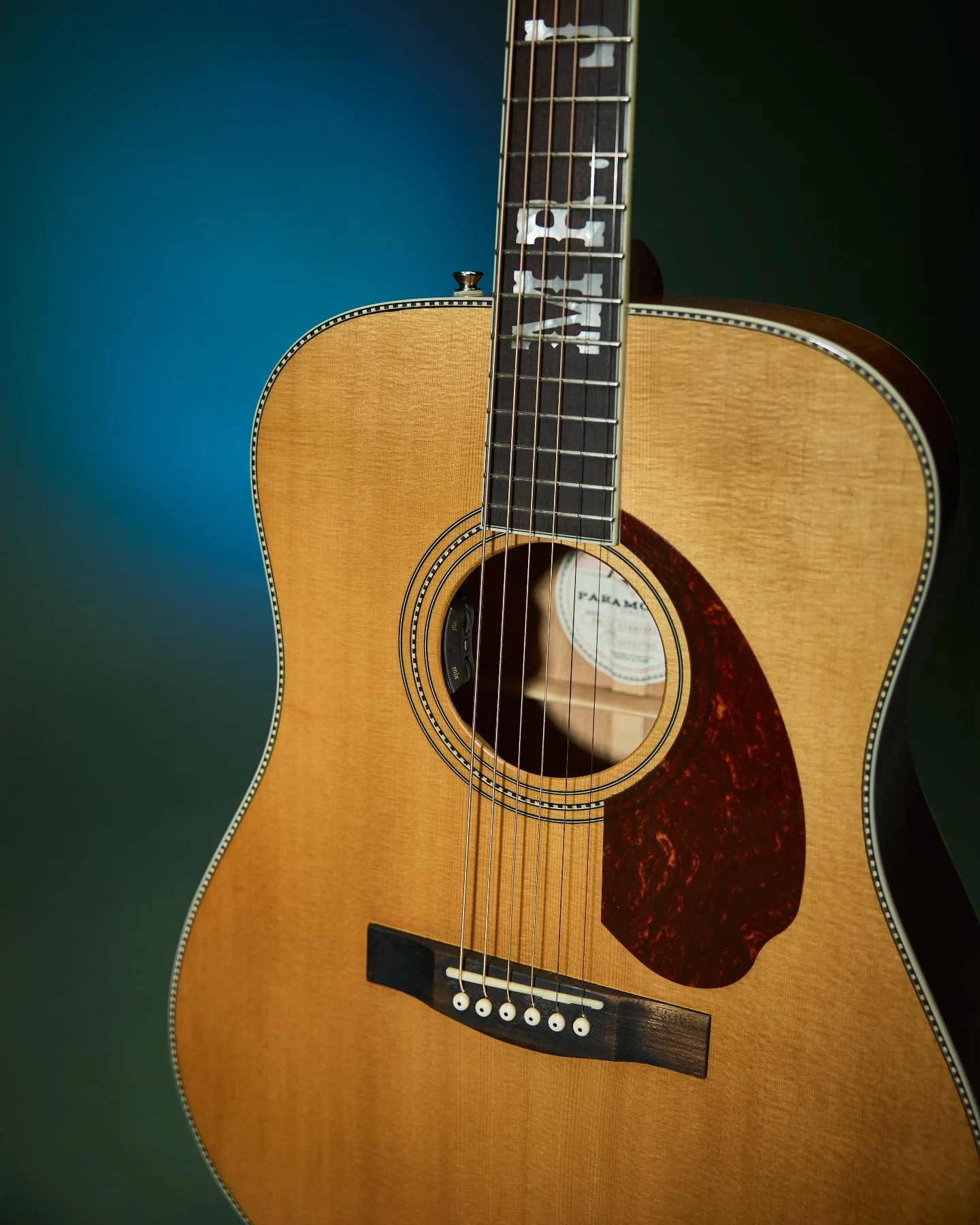 Recently got @joshuahedley ready for the Honky Tonk stages by outfitting his Fender Paramount with a HiFi Duet.