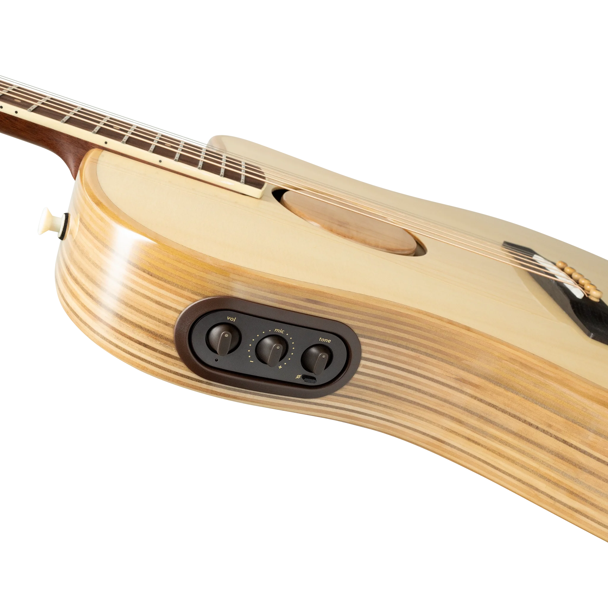 AEG-1 Guitar Controls