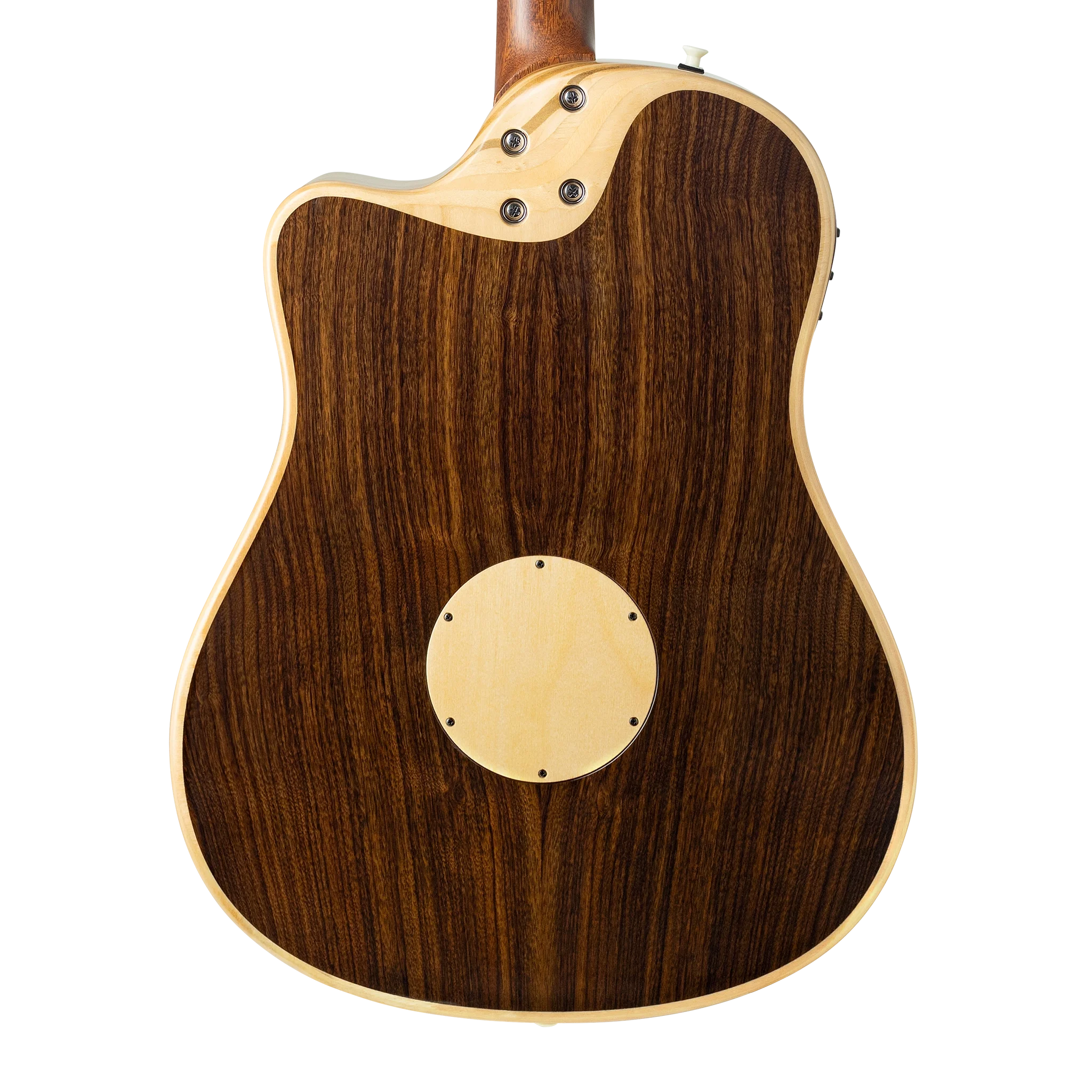 AEG-1 Guitar Back