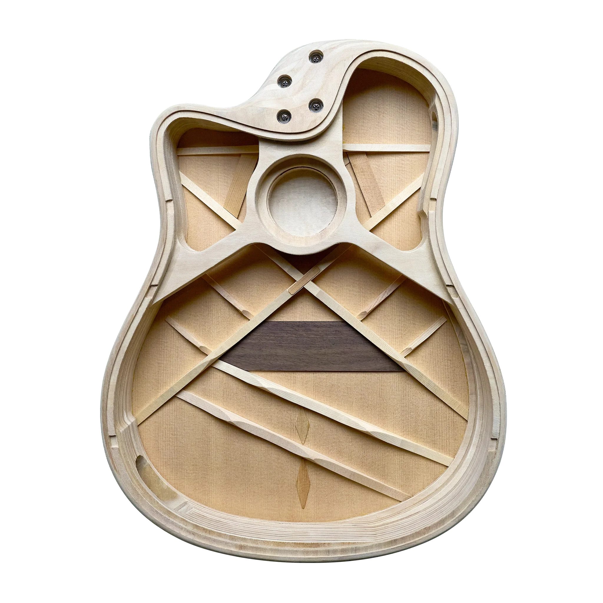 AEG-1 Guitar Inside