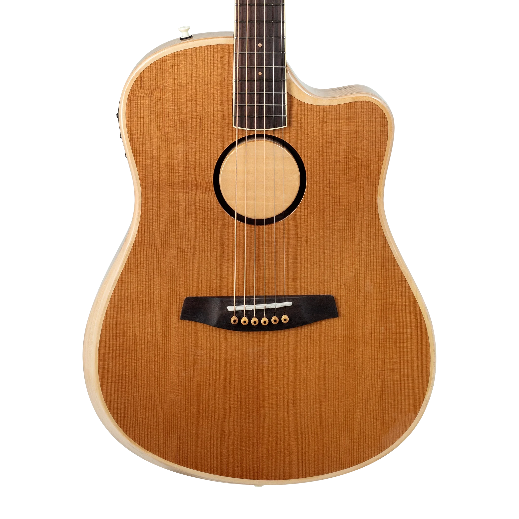 Baggs AEG-1 Torrefied Front Body