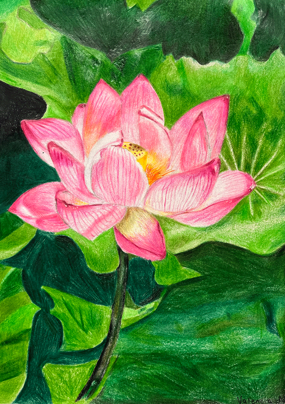 Val-lotusflower.gif