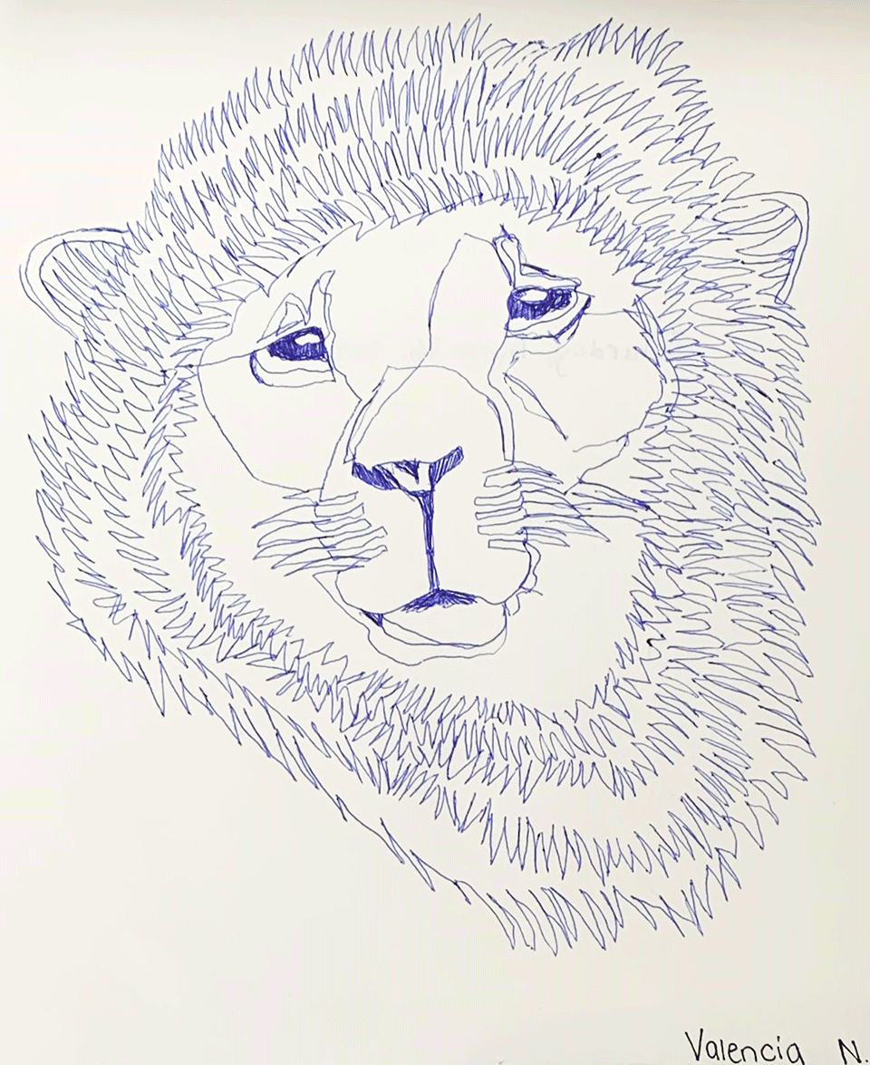 Val-lion.gif