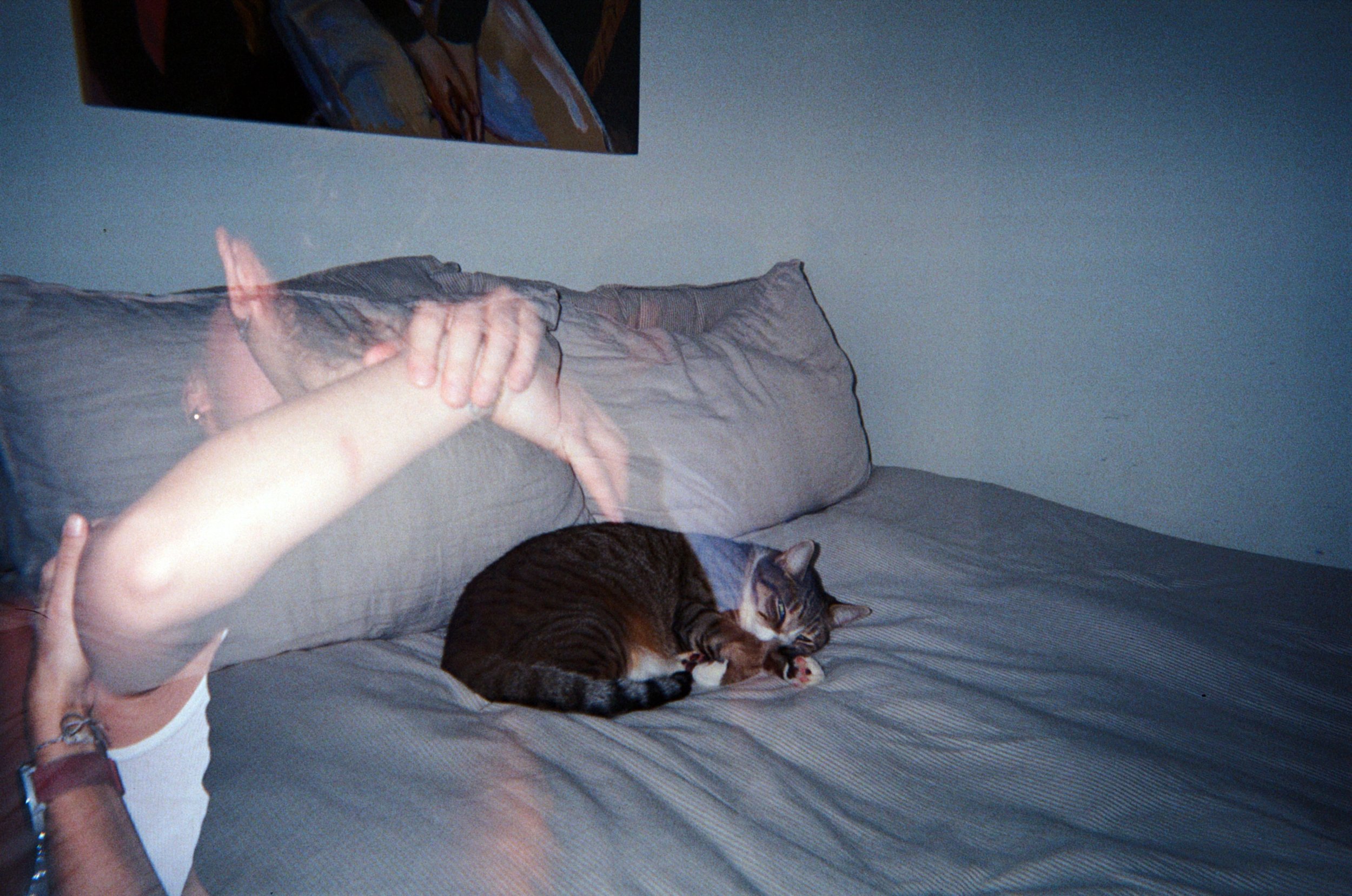 NYE 2024 & Indy / 
Retrospekt Simple-Use 35mm