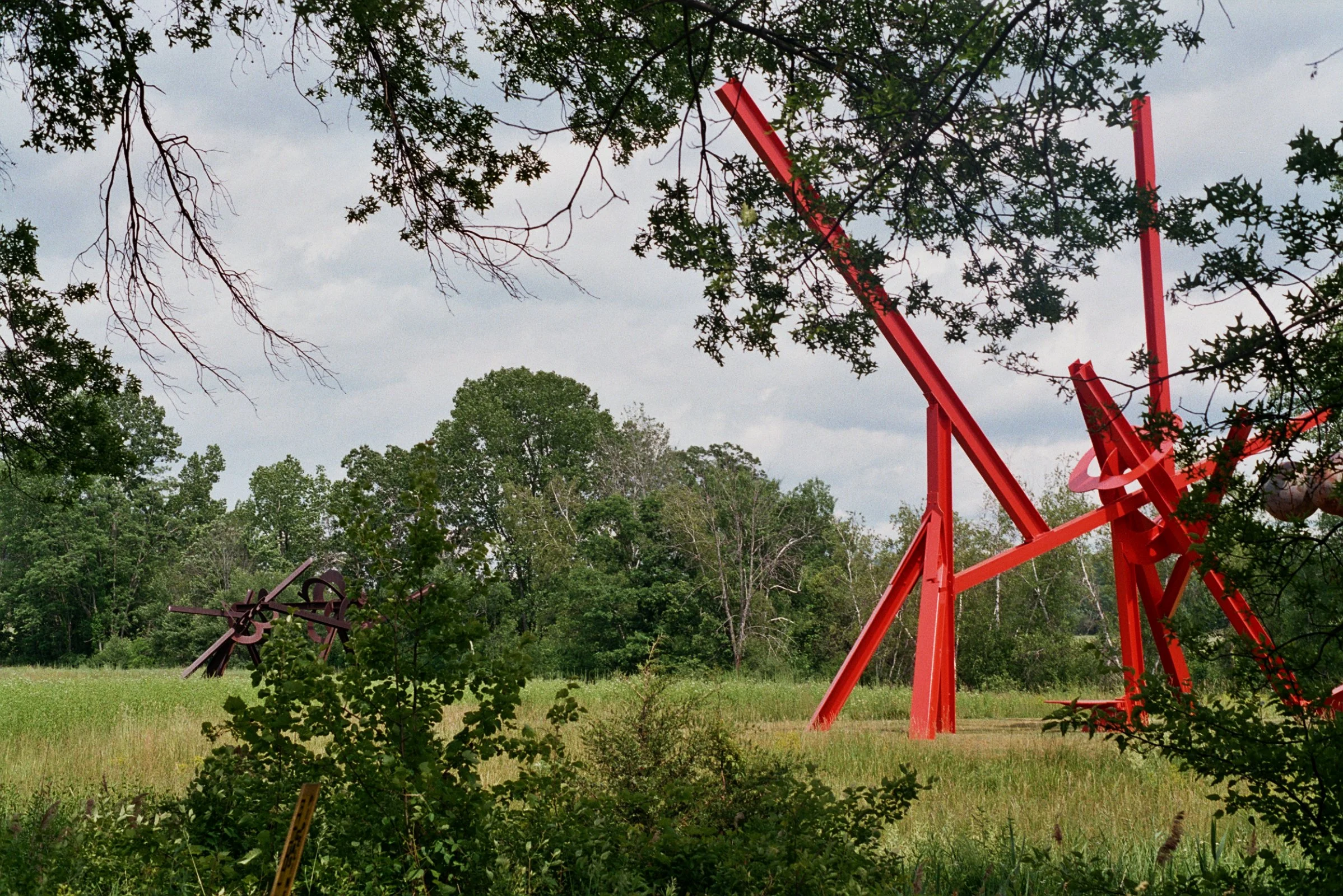 Storm King Art Center, 2023 / 
Minolta X370, Fujifulm ISO 400