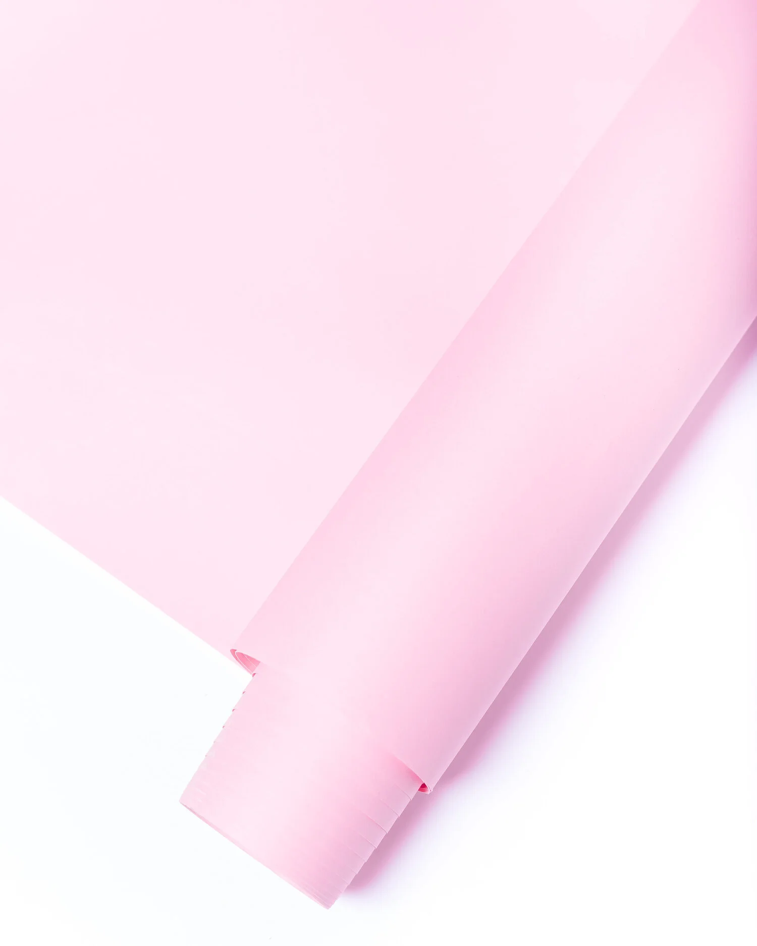 10' Backdrop Pink - $25