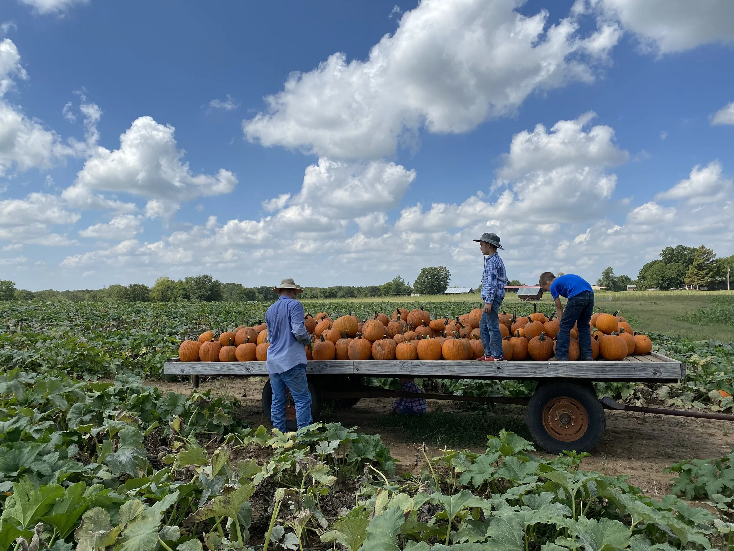 Freedom Acres Farm