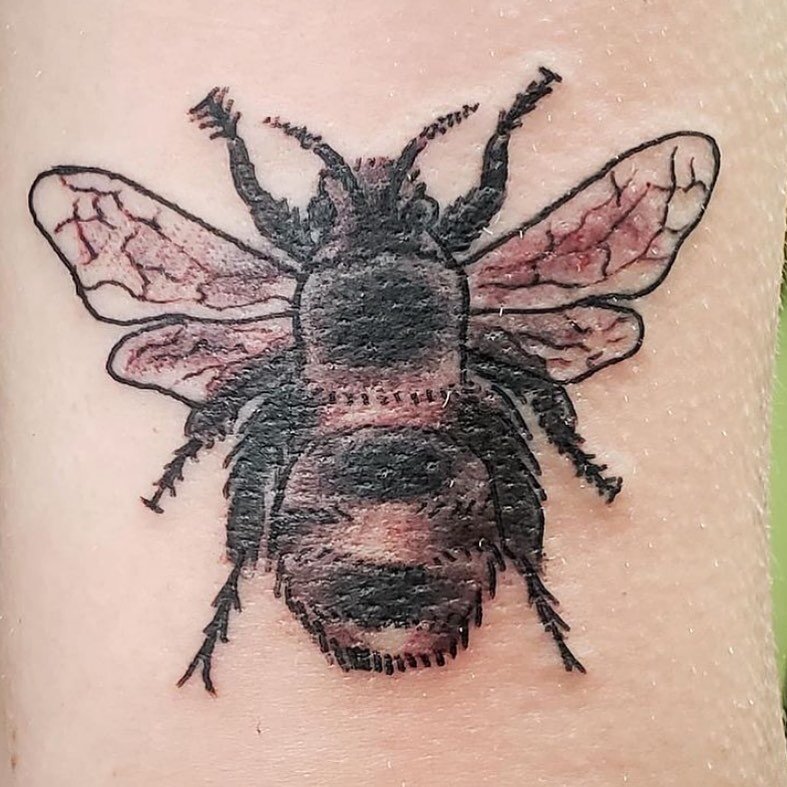 A lil bumble bee done by @frankzedekjr.tattooist! He&rsquo;ll be back next week, come get tattooed!

#redemptiontattoocare&nbsp; #boldwillhold #bumblebee&nbsp; #beetattoo #savethebees #tattooart #tattoos #tattoo #614 #614artists #socolumbus #capcity 