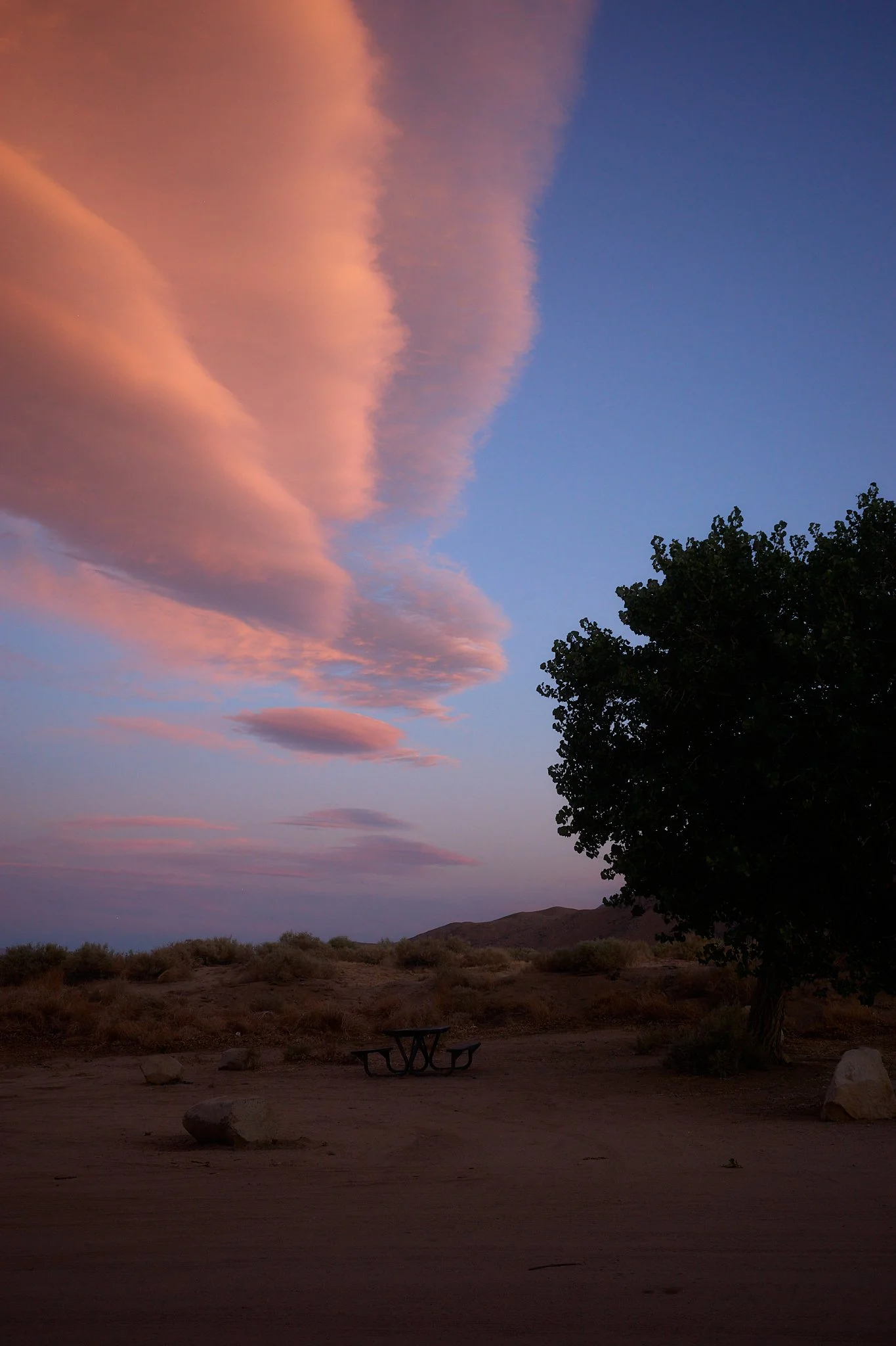 A desert landscape during sunset with large pink clouds, a solitary tree on the right, and an empty picnic table in the foreground.