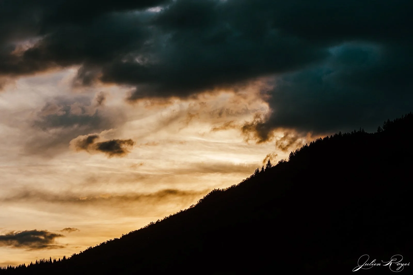 DSC_2764-2.jpg