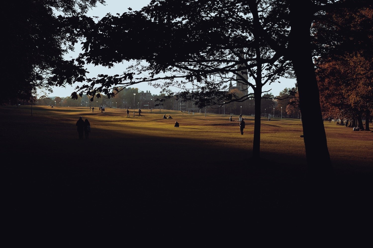 Alba - 55.jpeg