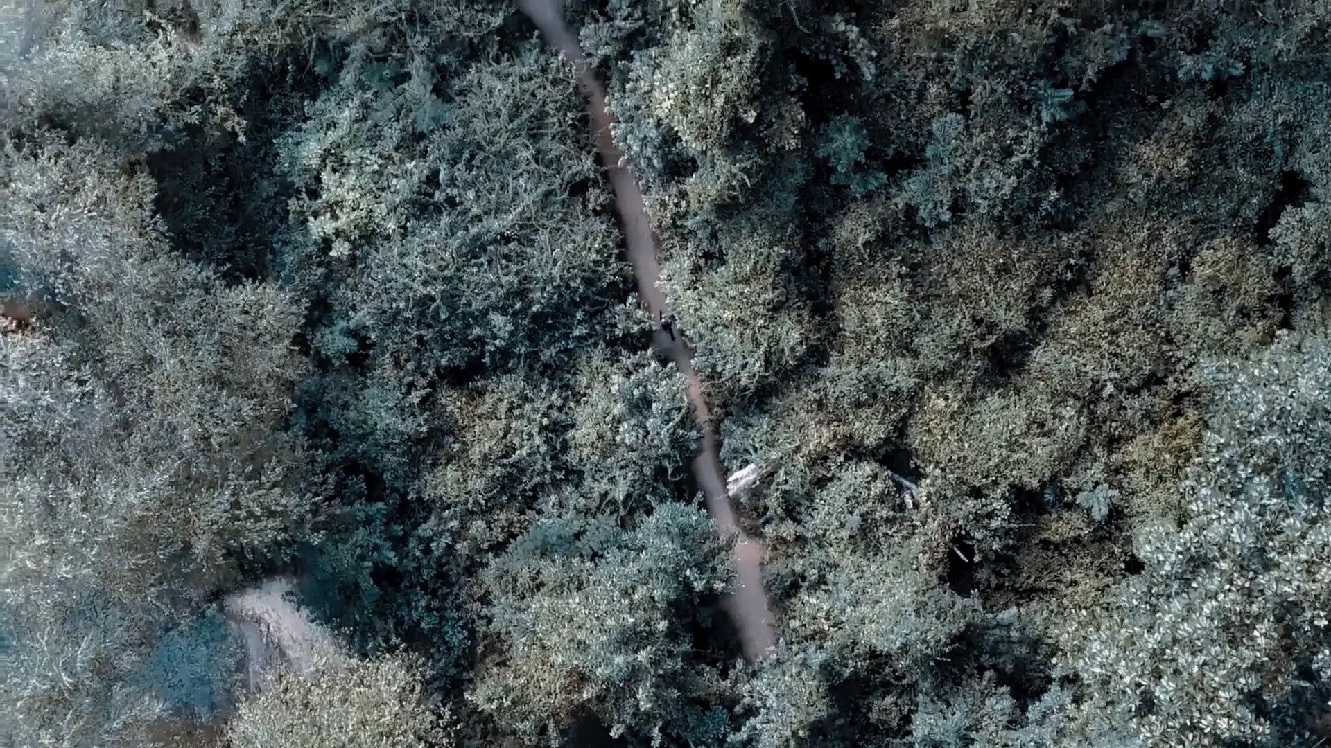 WHAT’S STOPPING YOU