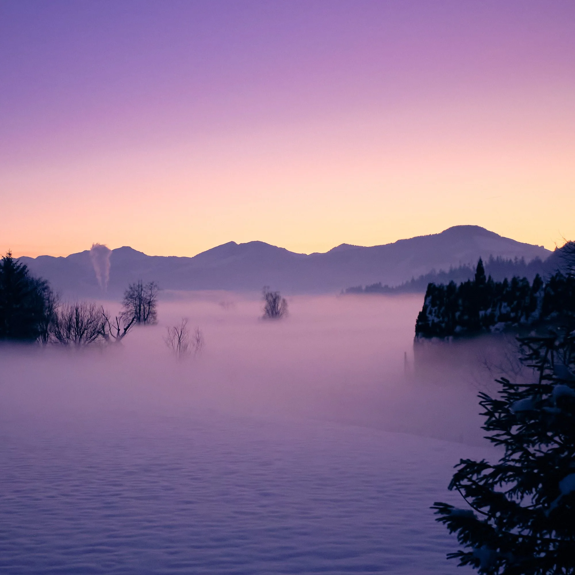 Tirol, 2025