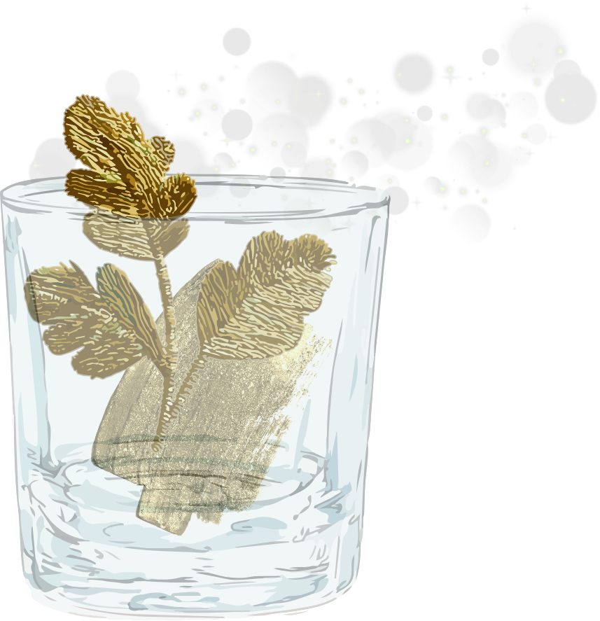 Am illustration of a cocktail glass with mint leaves and a piece of ginger inside, with bubbles and sparkles rising from the glass.