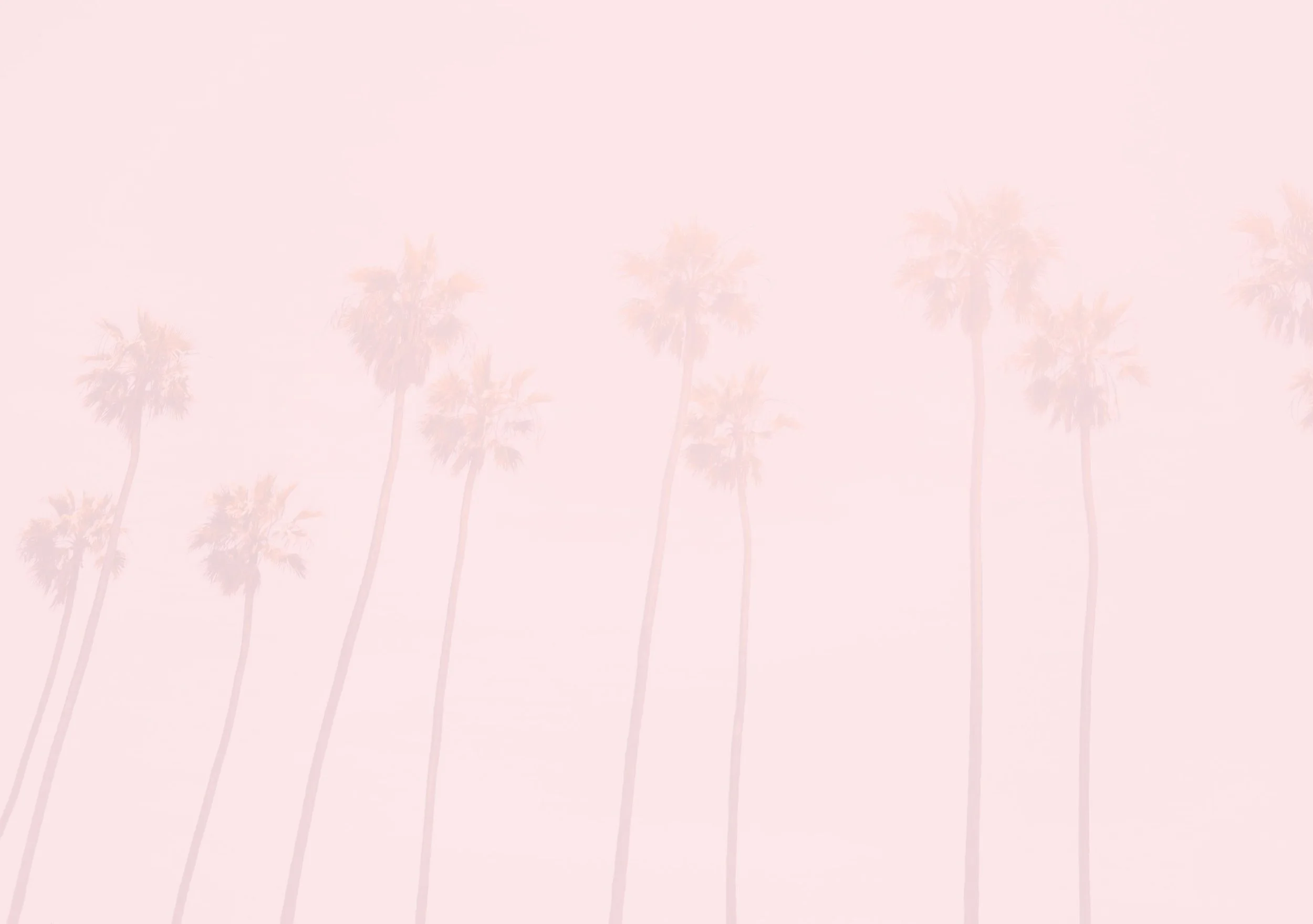 Laura-Tremaine_Palm-Trees.jpg