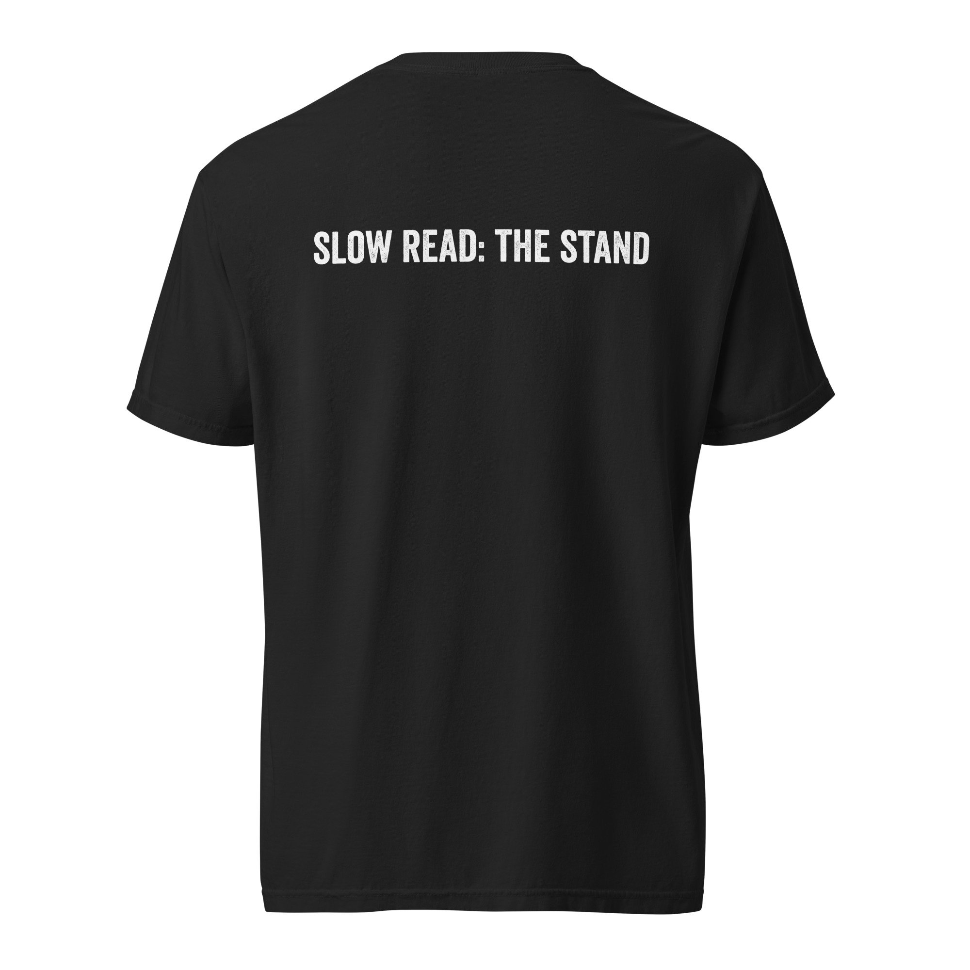 unisex-garment-dyed-heavyweight-t-shirt-black-back-6a6fcd9d7e3c1.jpg