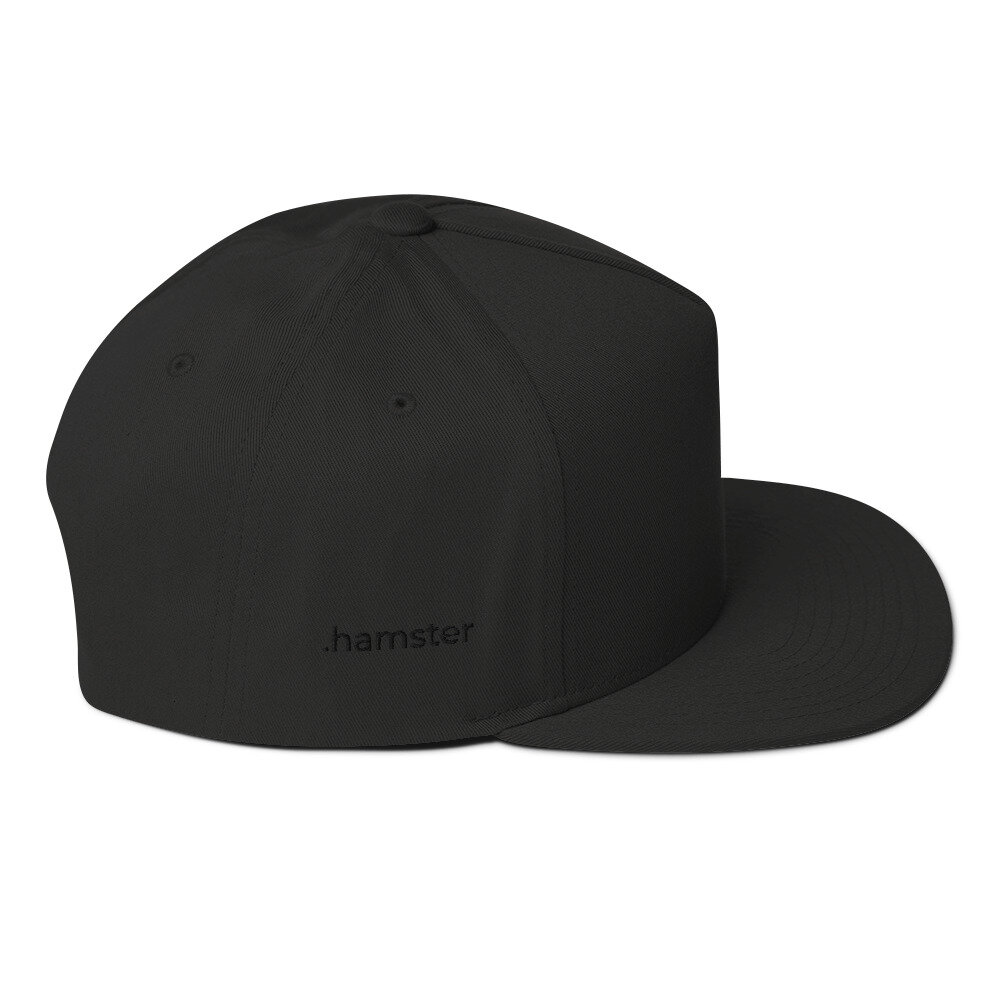 flat-bill-cap-black-right-side-611a7f1ae5bdc.jpg
