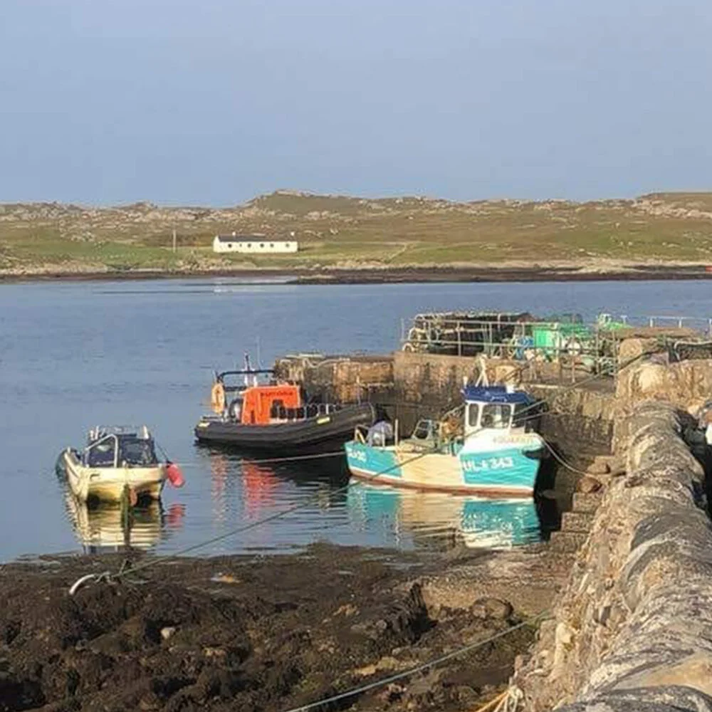 Boat Trip to the Isle of Coll | Tiree Sea Tours | Argyll, Scotland ...
