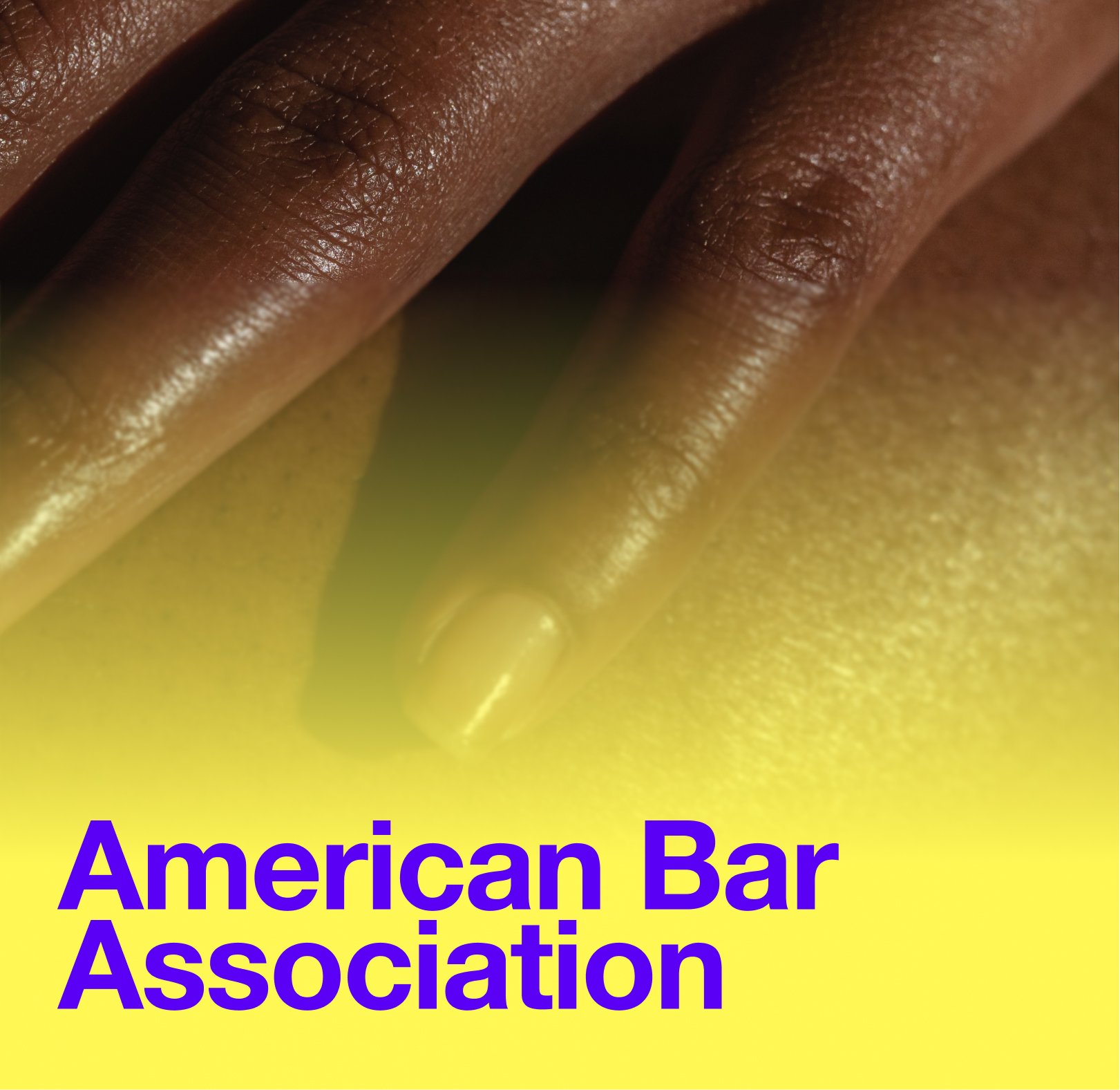 American Bar Association Commission on Domestic and Sexual Violence