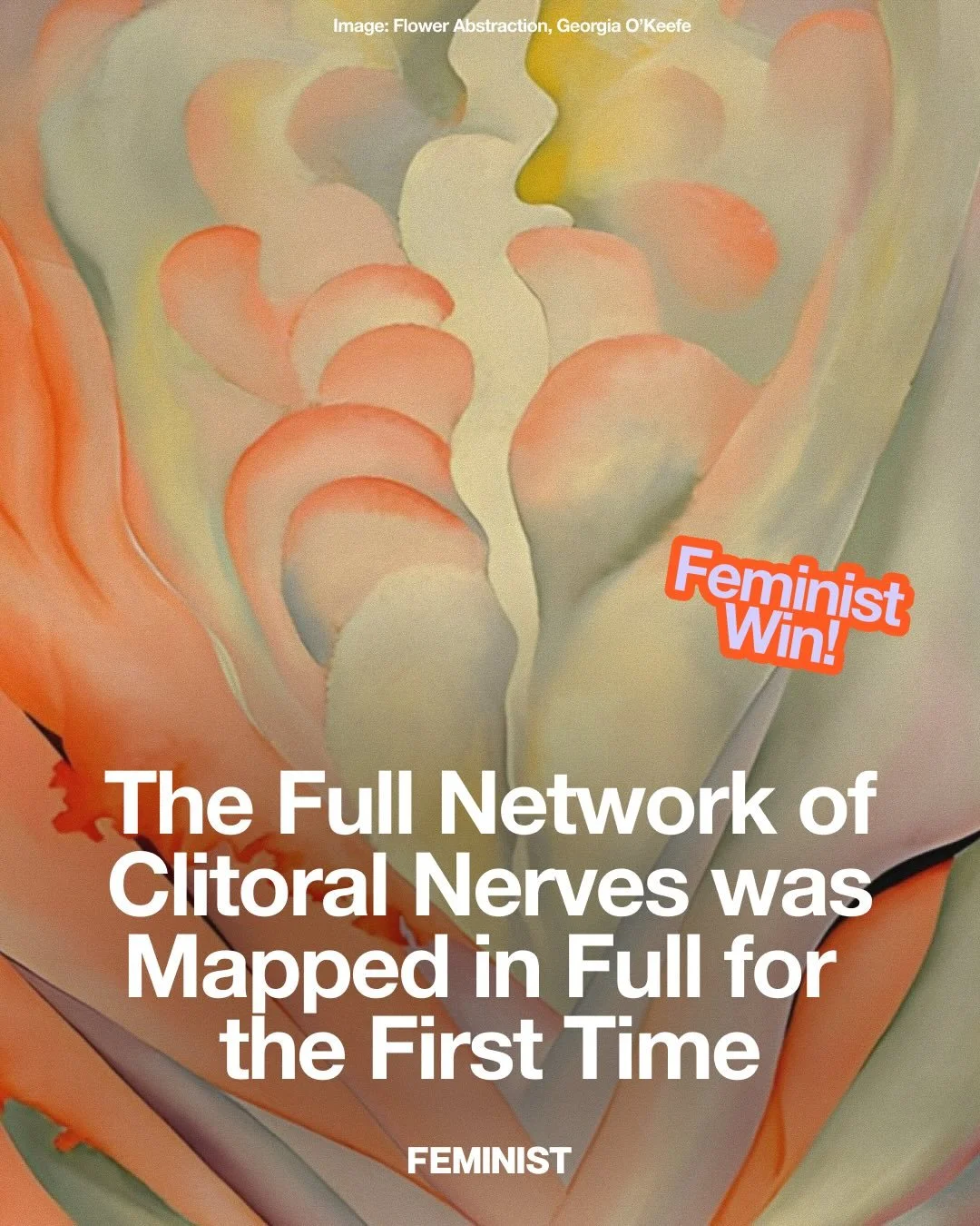 For the first time, scientists have mapped the full nerve network of the clitoris&mdash; a breakthrough that was long overdue, as similar mapping of male anatomy was created almost 30 years ago.&nbsp;

🎞️&nbsp;@withmerakico, @sexedfiles

Using high-